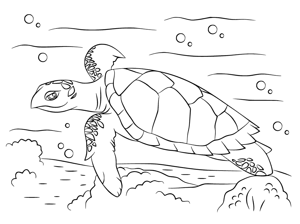 Hawksbill Sea Turtle Coloring Page - Get Coloring Pages