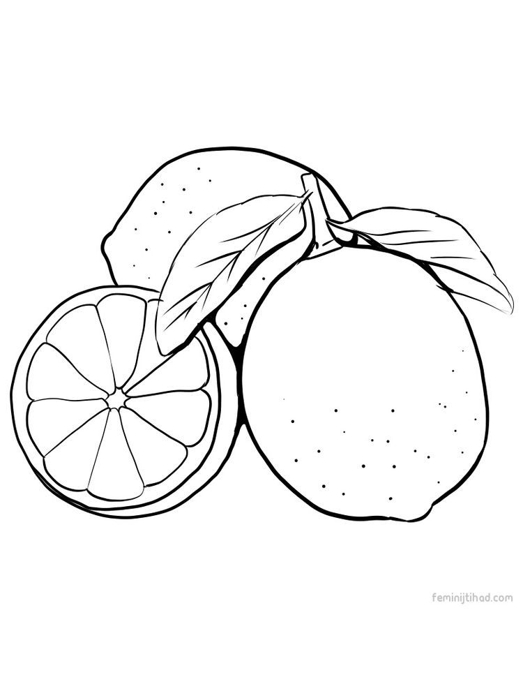 print lime coloring page 1 | Fruit coloring pages, Coloring pages, Coloring  pages to print