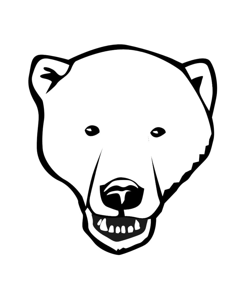 Polar Bear Face Coloring Page - Get Coloring Pages