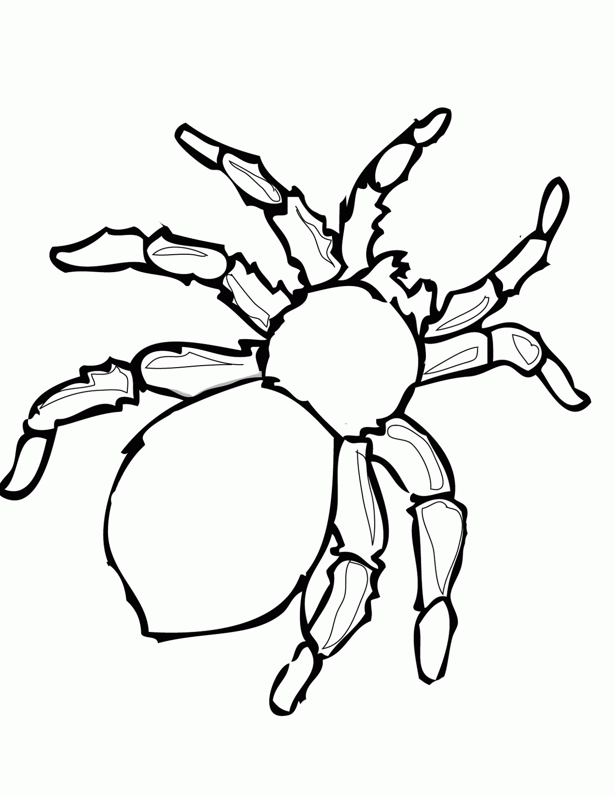 Spider Coloring Page