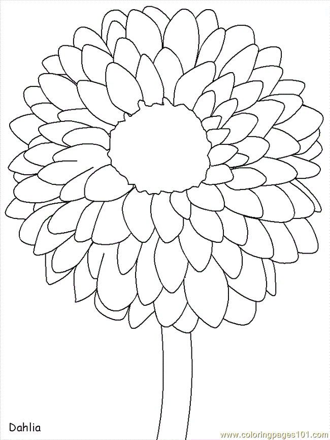 Flower Coloring Pages Sws Coloring Page - Free Flowers Coloring Pages :  ColoringPages101.com