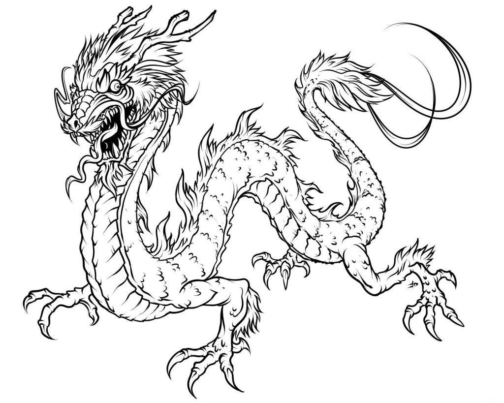 10 Images Of Realistic Wildlife | Dragon coloring page, Animal ...