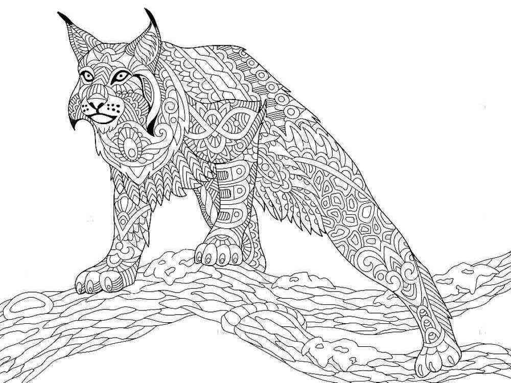 Lynx coloring pages for Adults