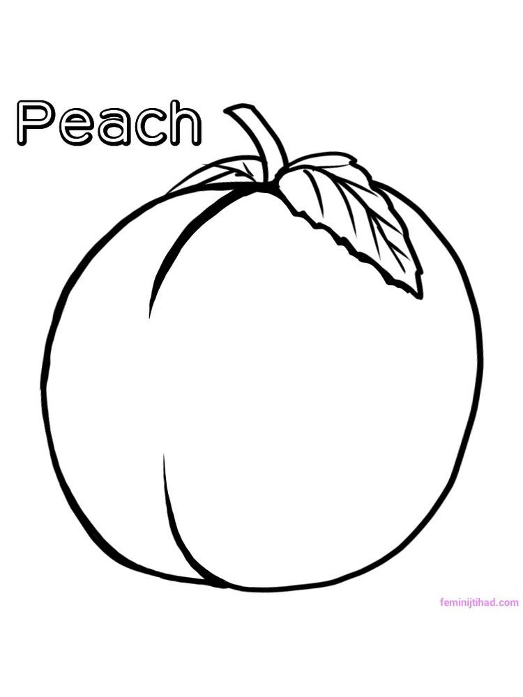 peach coloring pages pdf. Peach or is a fruiting plant from the Rosaceae  family. Peaches have yello… | Coloring pages, Fruit coloring pages, Coloring  pages to print