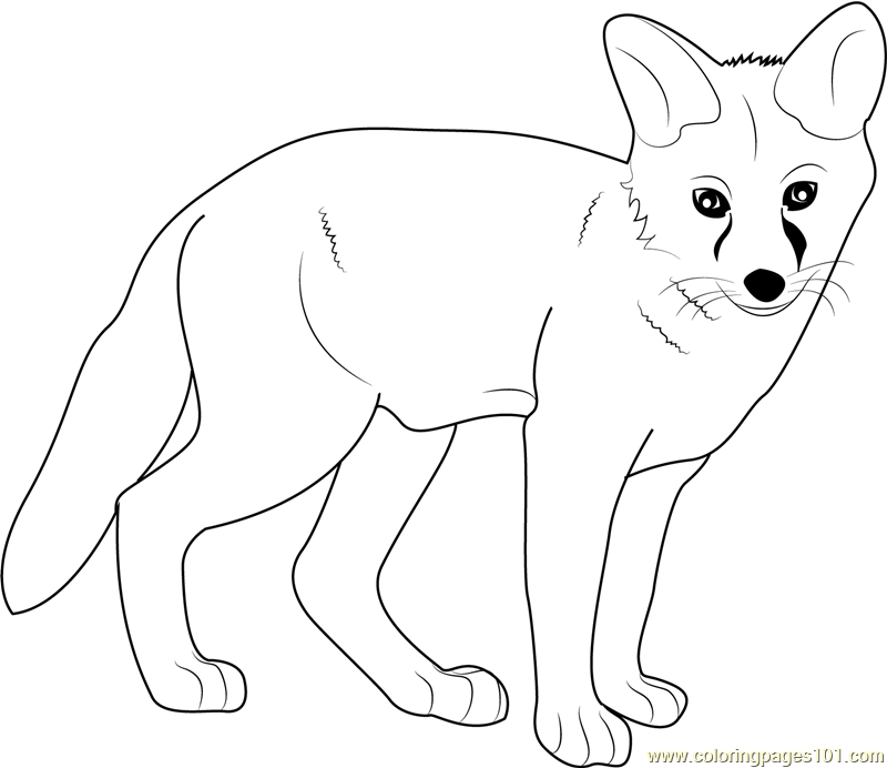 Fox Coloring Pages - Printable Coloring Pages of Foxes