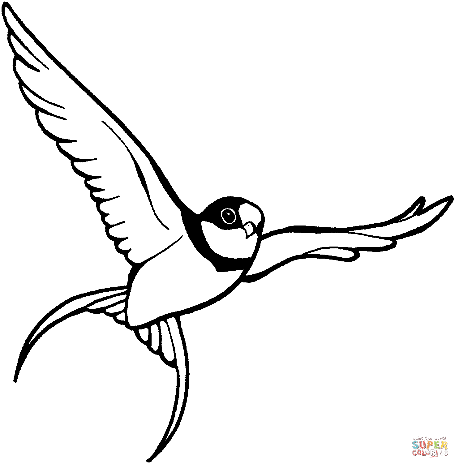 Sparrows coloring pages | Free Coloring Pages