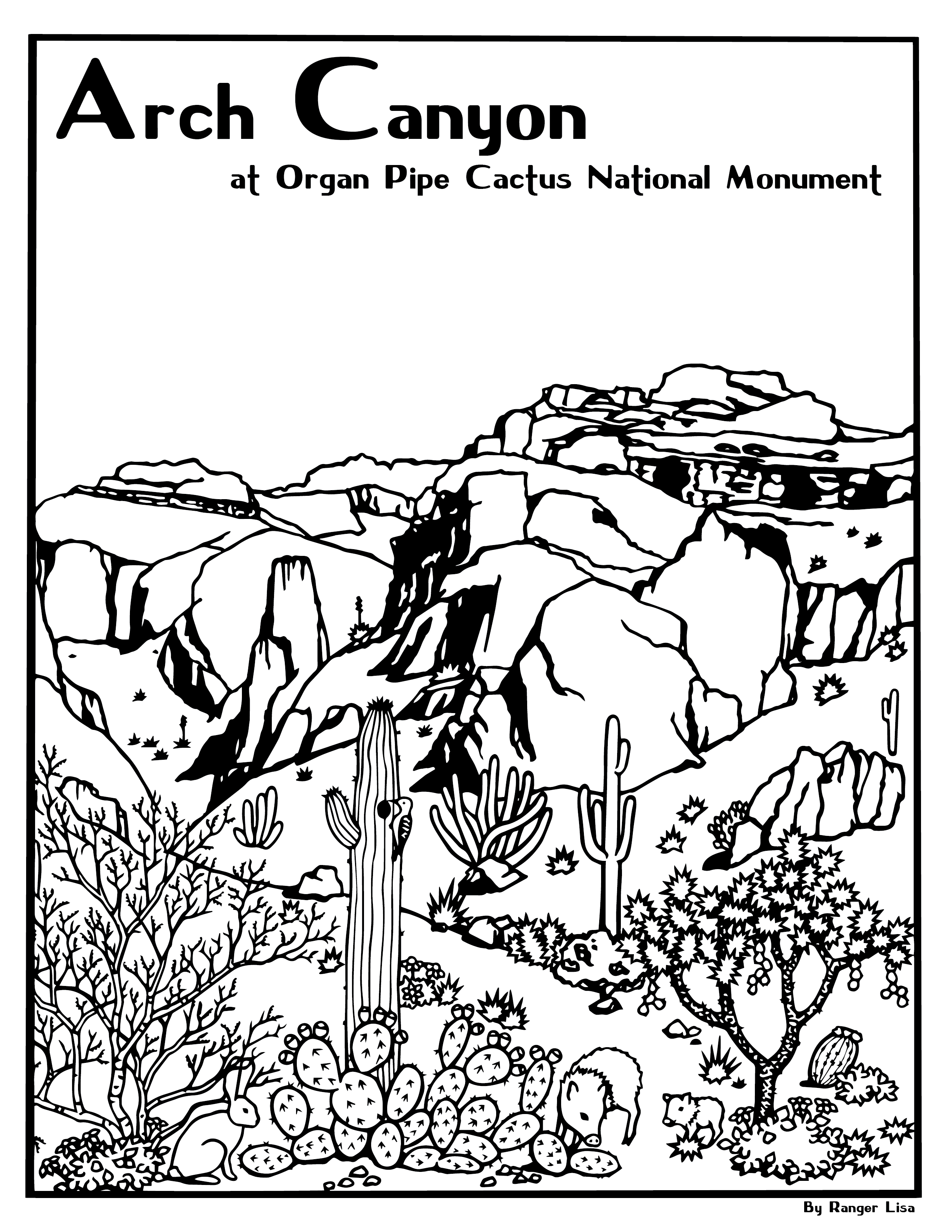 Be A Junior Ranger - Organ Pipe Cactus National Monument (U.S. National  Park Service)