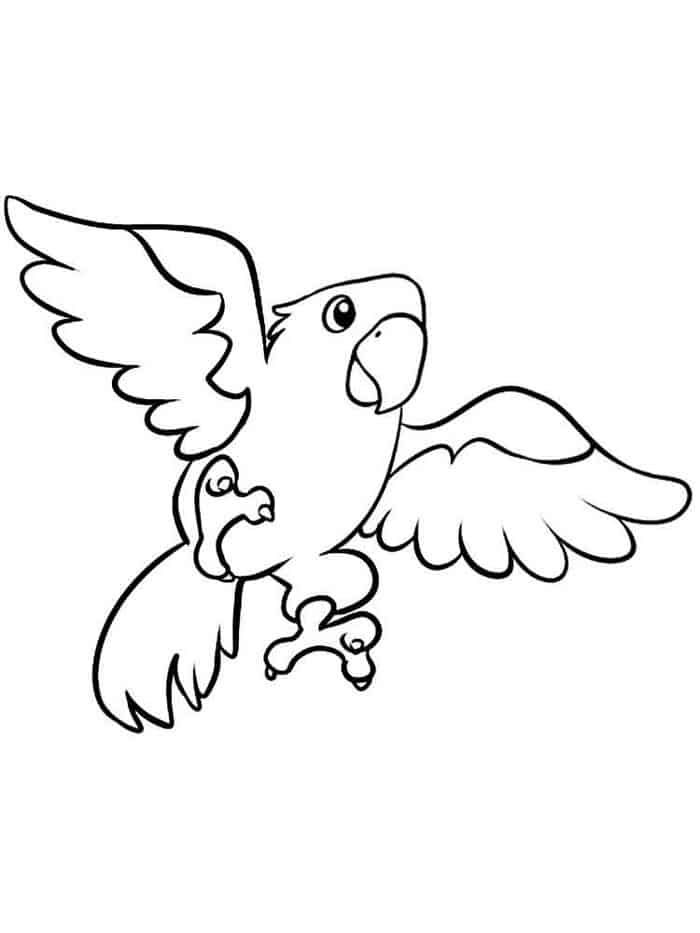 Flying Parrot Coloring Pages | Pirate coloring pages, Coloring pages, Fall coloring  pages