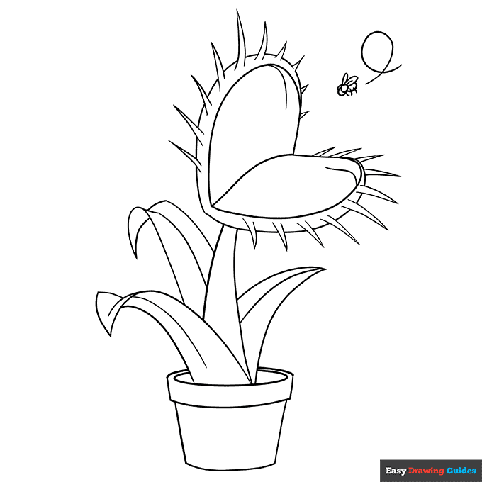 Venus Flytrap Coloring Page | Easy Drawing Guides