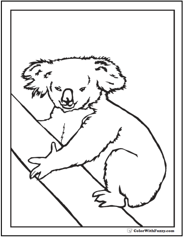 Koala Coloring Pages For Kids: Hop A ...