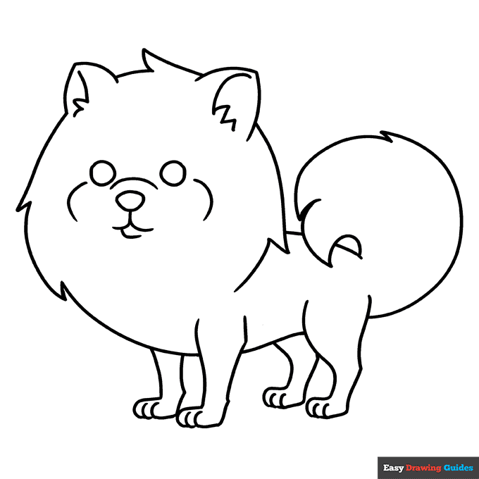 Pomeranian Coloring Page | Easy Drawing ...