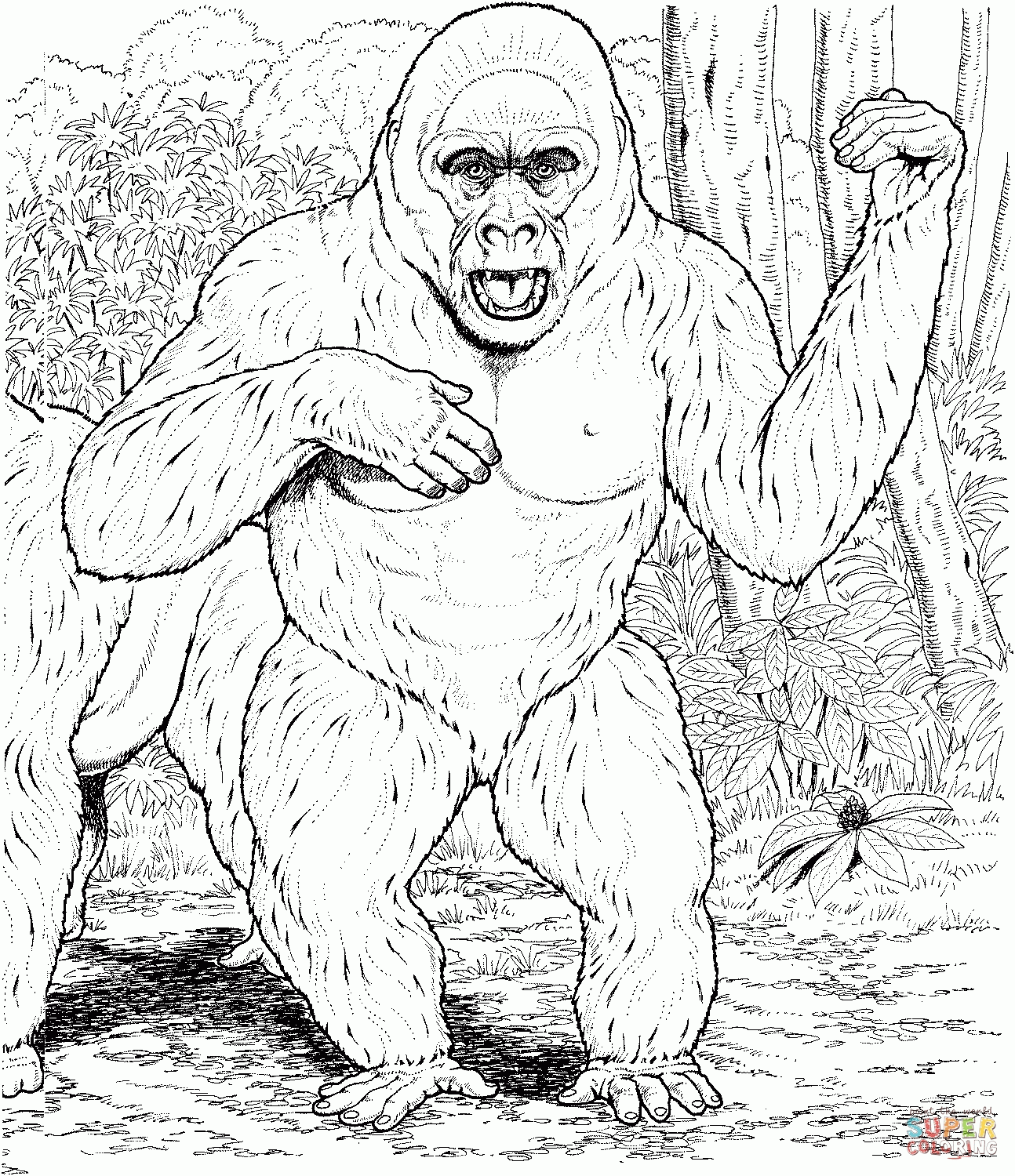 Extent Top Gorilla Coloring Pages Images Kids Pedia Part 2 - Widetheme