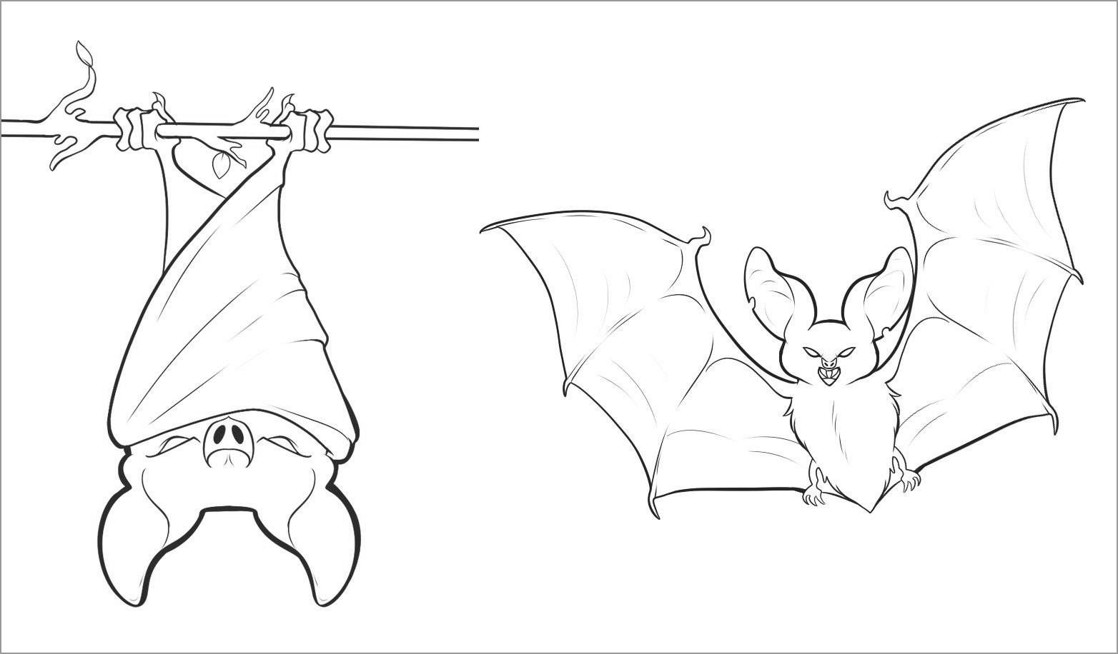 Cute Bat Coloring Pages - ColoringBay