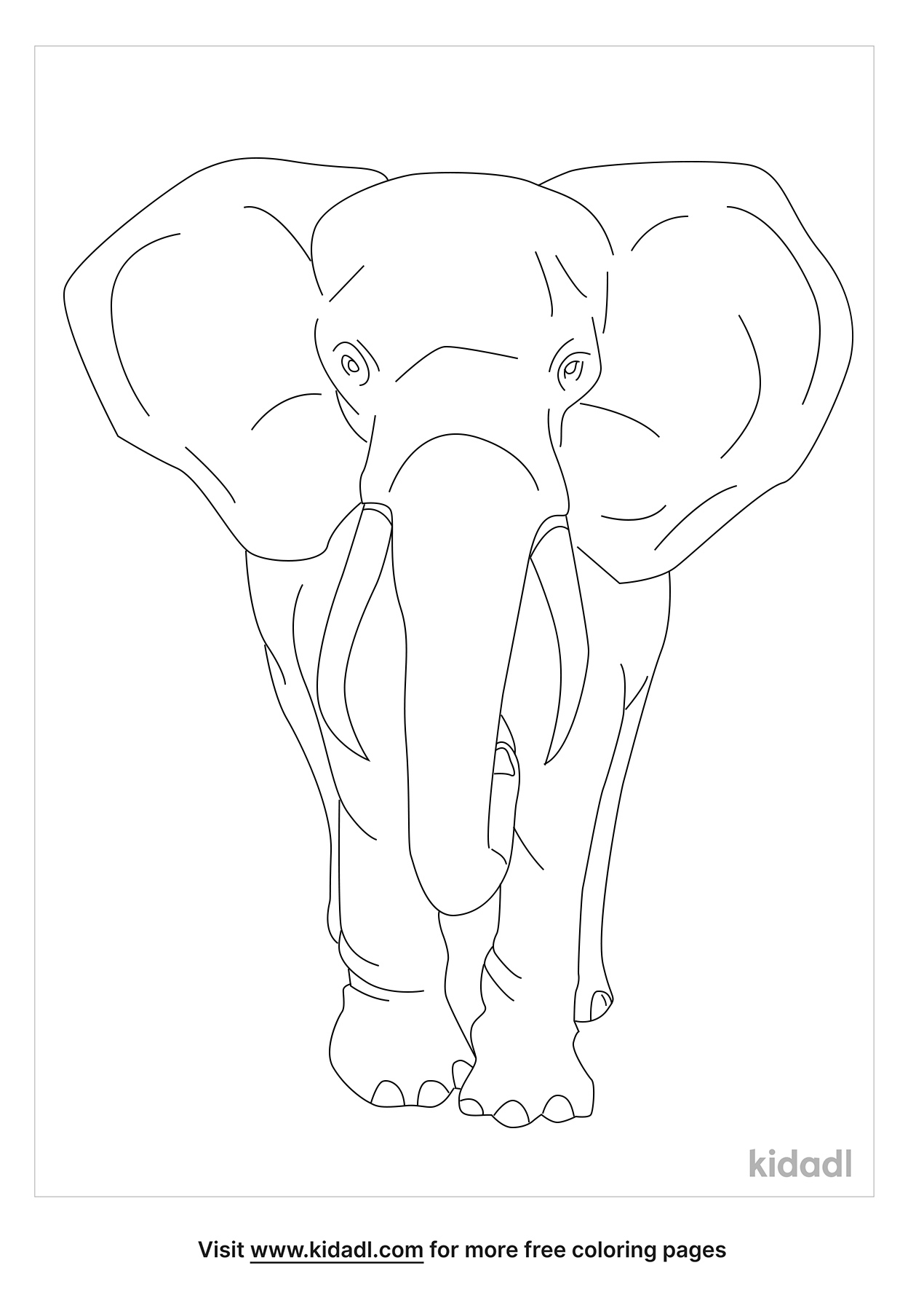 Realistic Animals Coloring Pages | Free Animals Coloring Pages | Kidadl