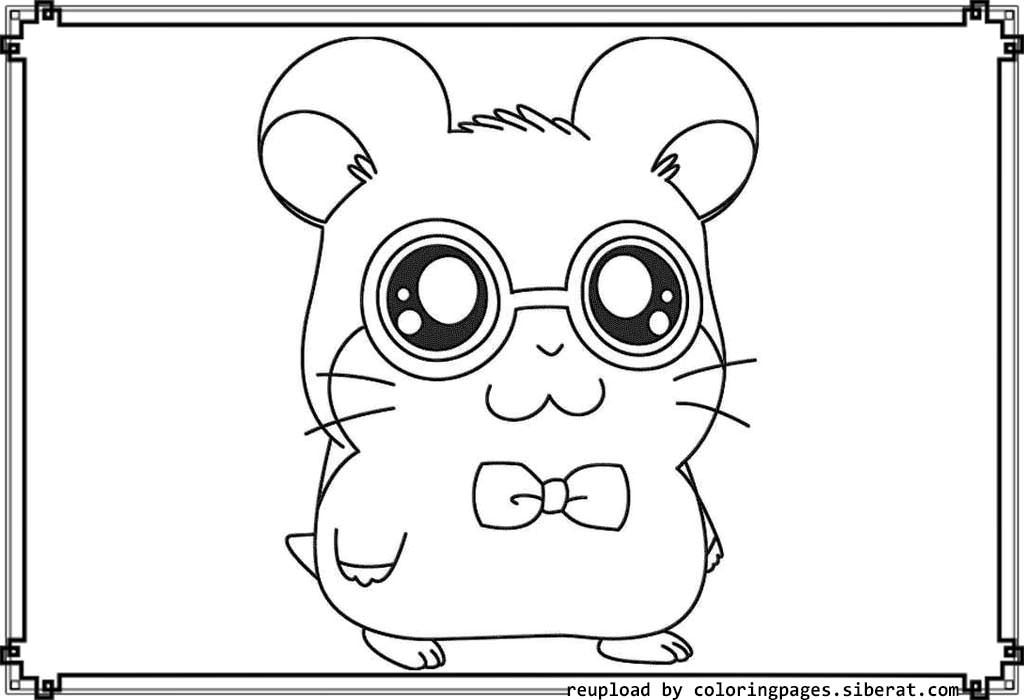 Cute Hamster - Coloring Pages for Kids and for Adults