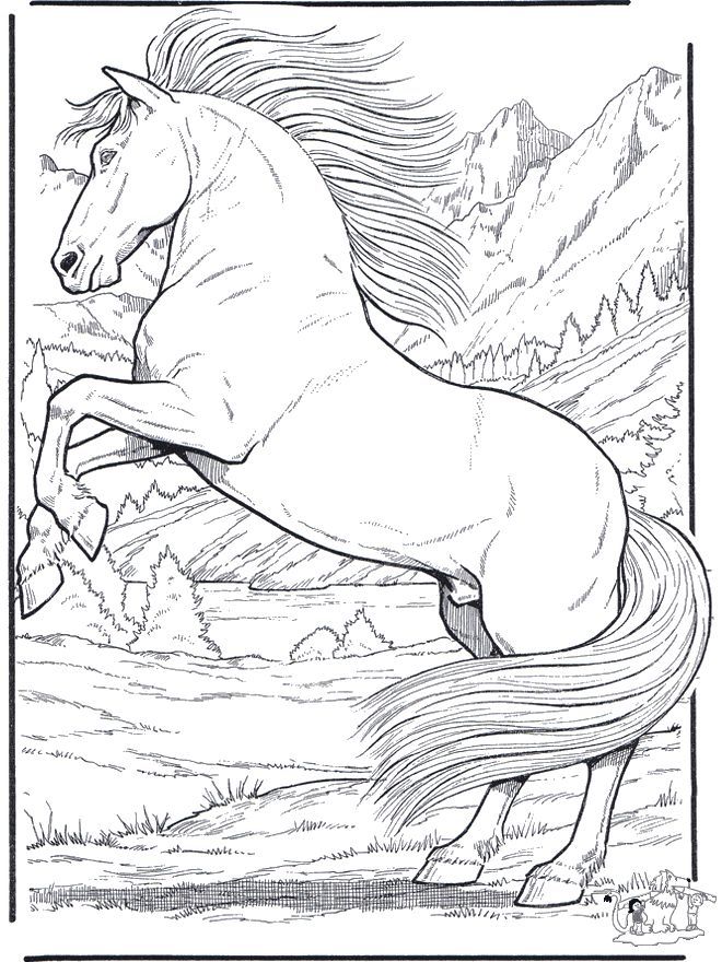 realistic animal coloring pages | Horse coloring pages, Animal ...