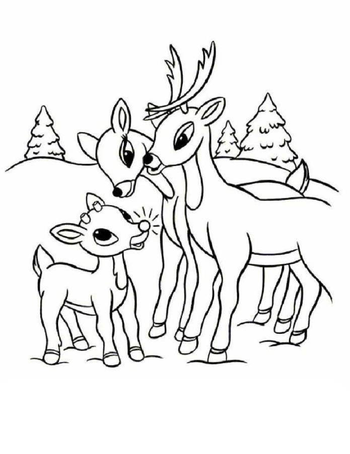 Print Rudolph Reindeer And Family Coloring Page or Download 