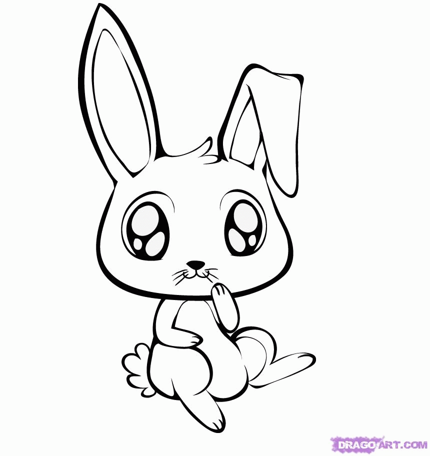 Cute Baby Animal Coloring Pages Dragoart Background 1 HD 