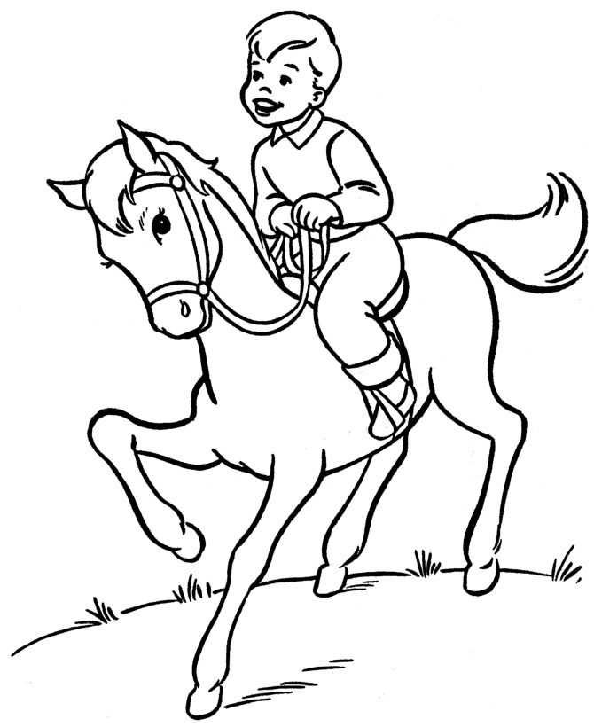 Search Results » Horse Drawings To Colour