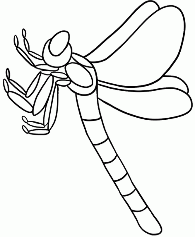 Animal Coloring Pages : Dragonfly Is Great And Attractive Coloring 