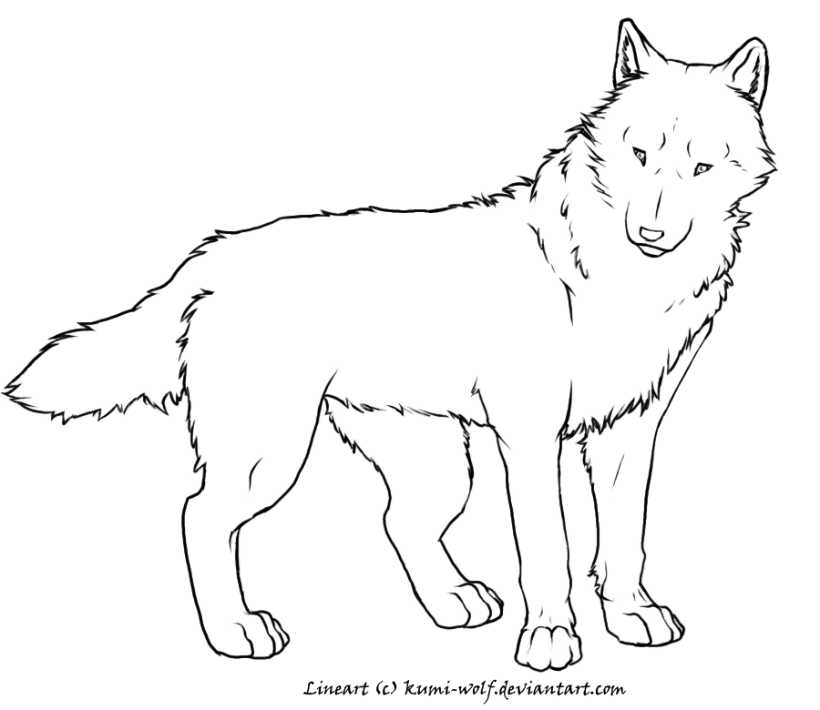 Free LineArt Adult Wolf by StePandy on deviantART