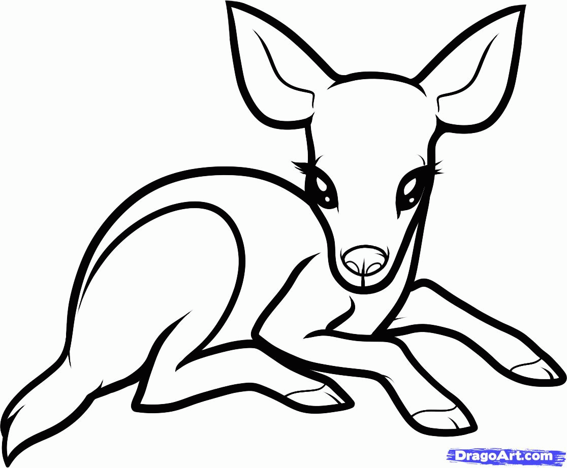baby animals printing pages creative children. coloring sheets ...