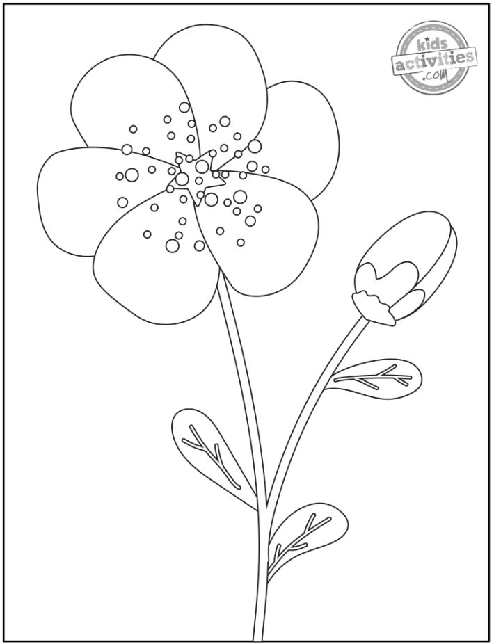 14 Original Pretty Flower Coloring Pages to Print | Kids Activities Blog