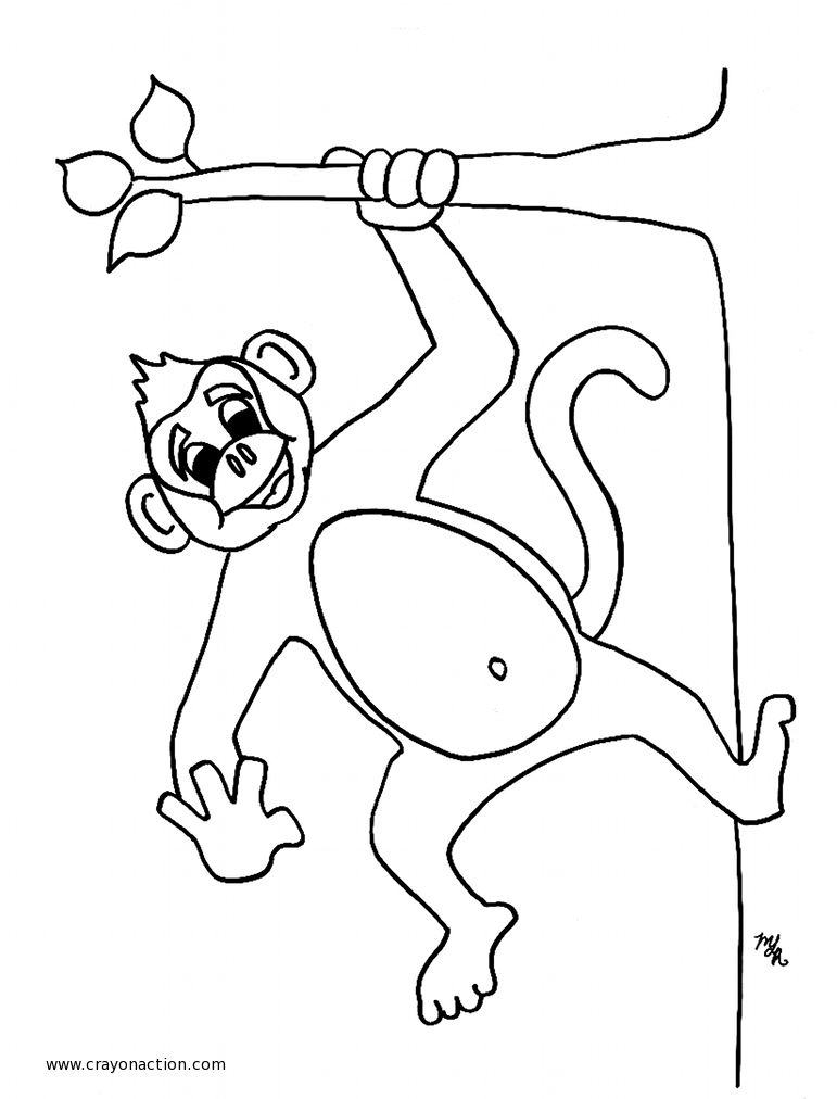 monkey hanging from tree drawing - Clip Art Library