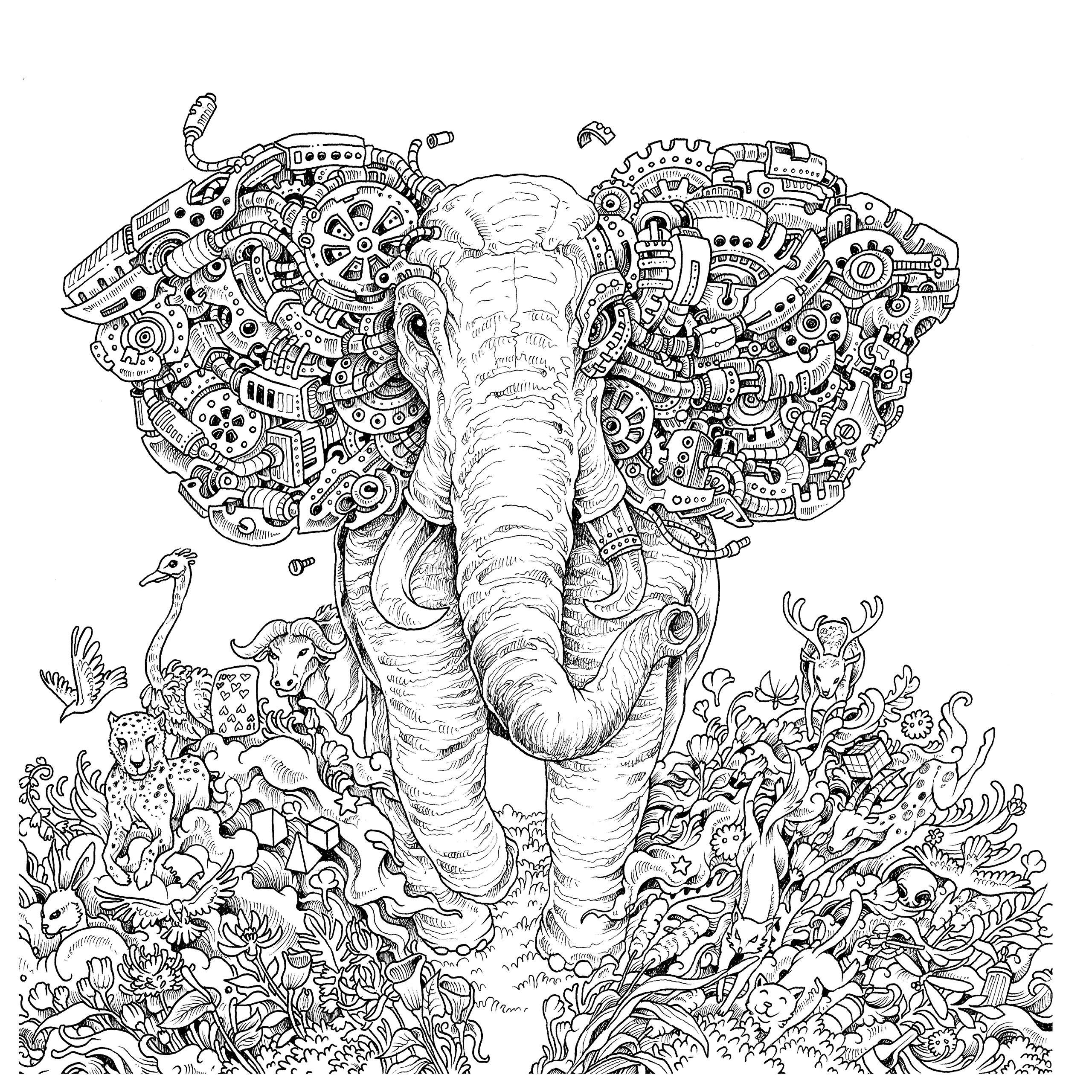 Elephant Adult Coloring Page