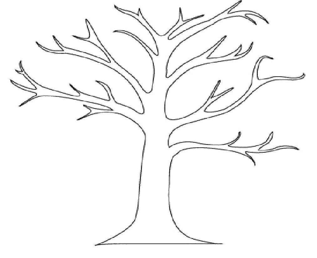 Best Photos of Printable Tree Template No Leaves - Tree with No ...