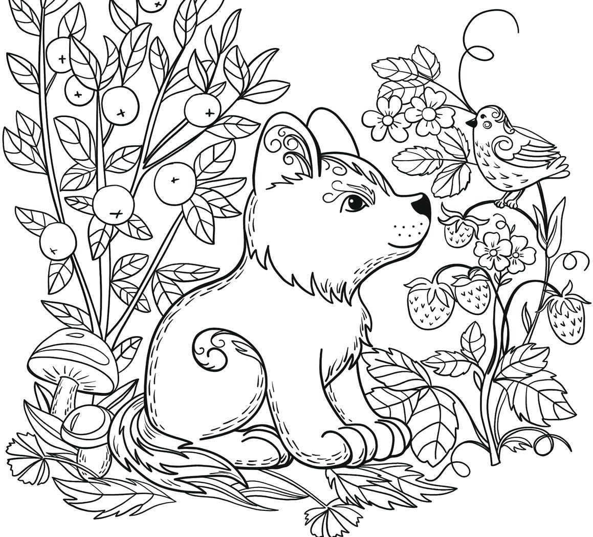 Animal Coloring Pages Printable Free Wild Forest Animals Page Adult Within  – Stephenbenedictdyson