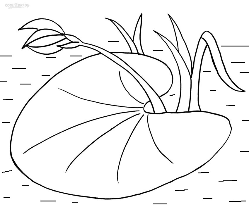 Printable Lily Pad Coloring Pages For Kids | Cool2bKids