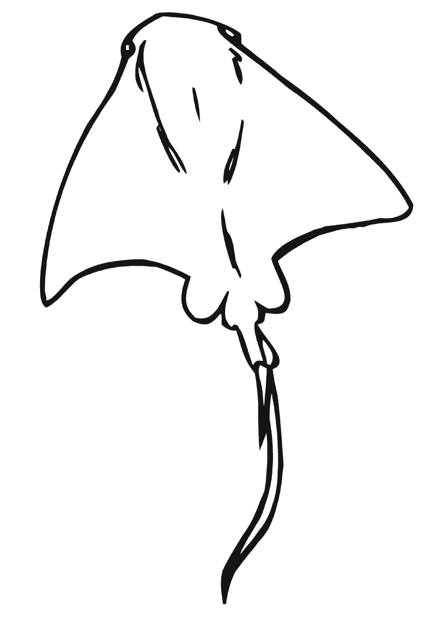 Stingray coloring pages | Coloring pages to download and print
