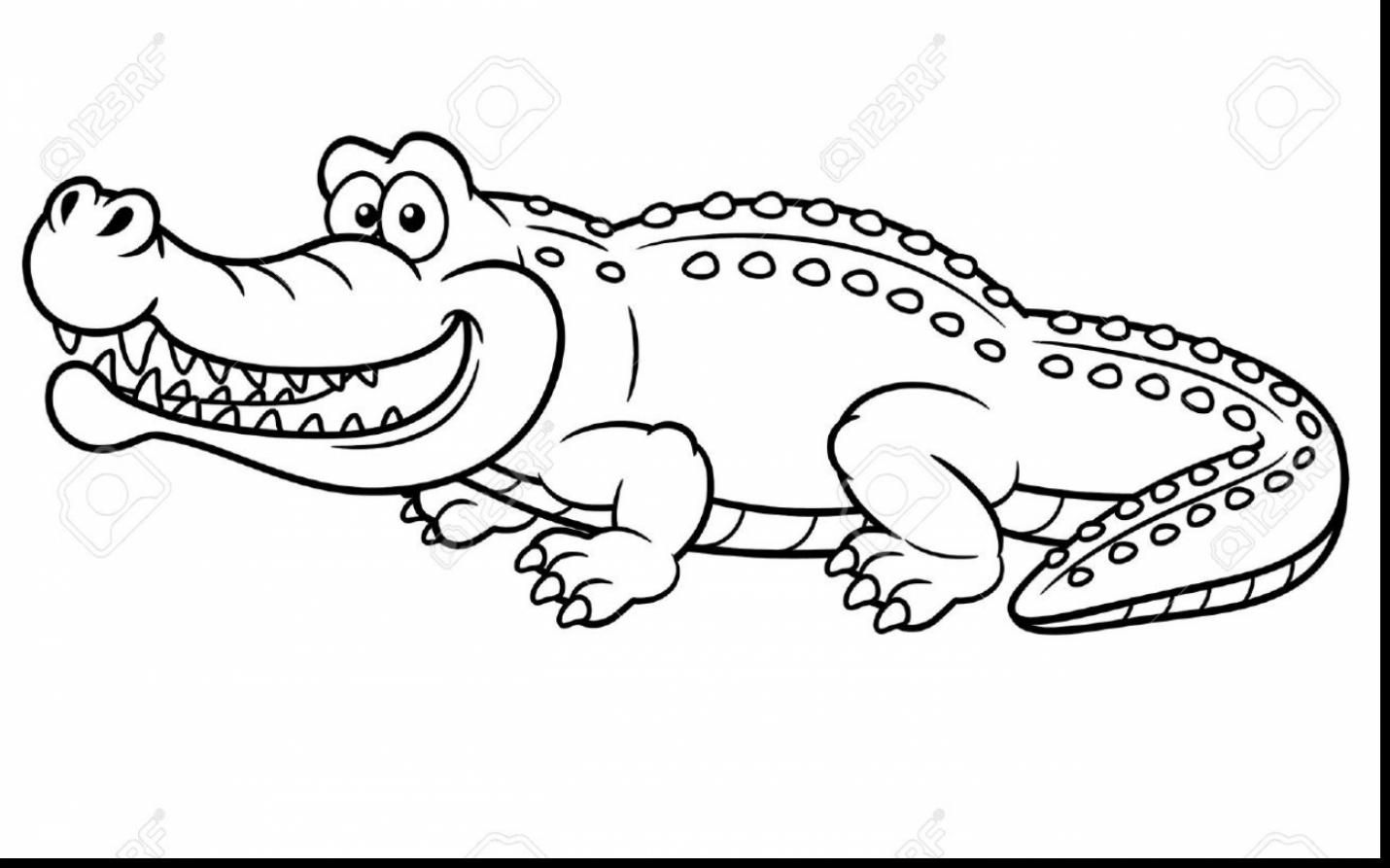 surprising alligator coloring pages with alligator coloring page ...