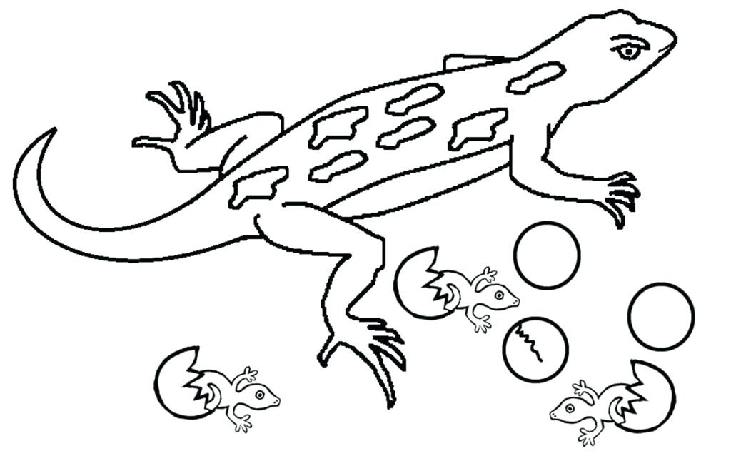 Gecko Coloring Pages - Best Coloring Pages For Kids