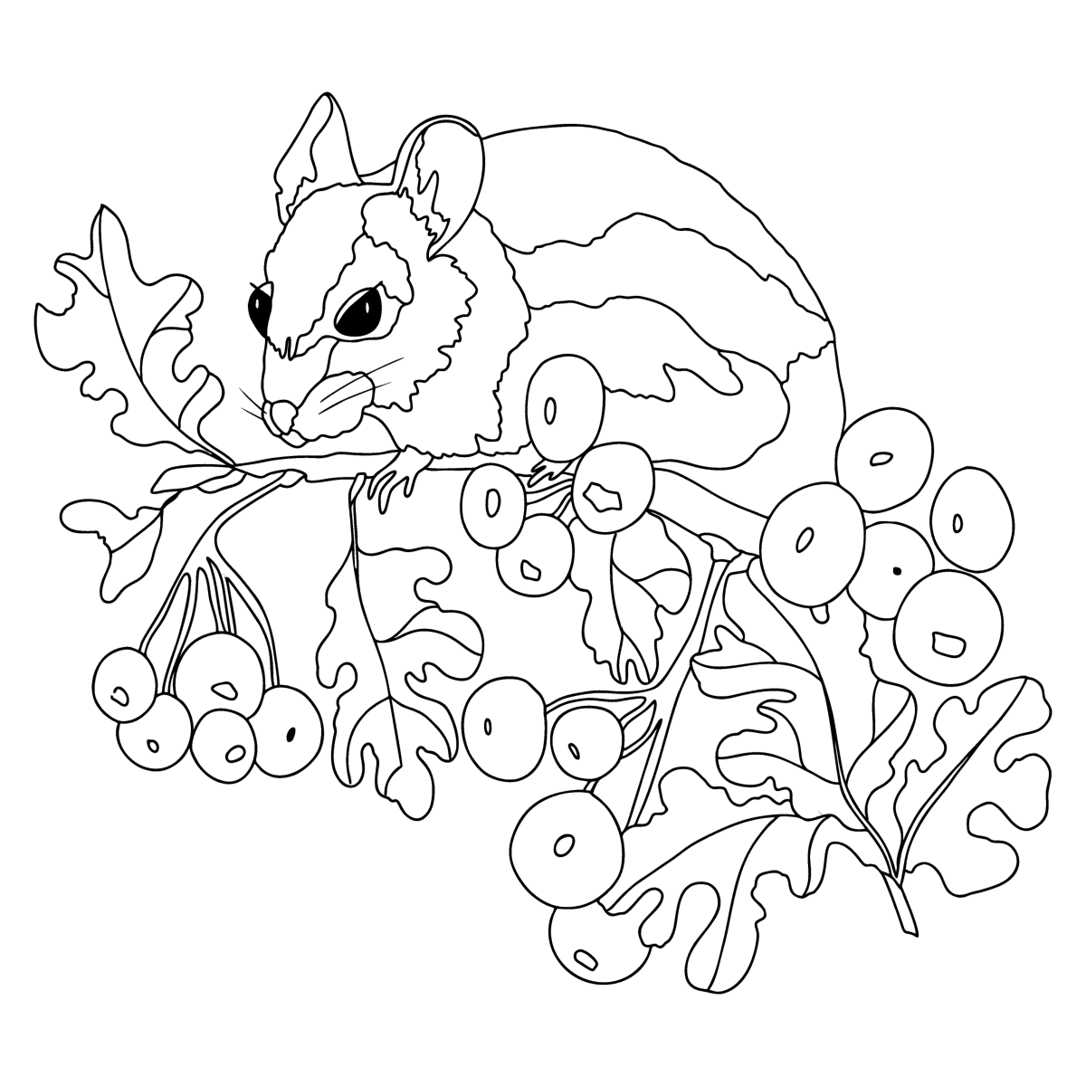 Mice coloring pages for Adults - Online or Printable