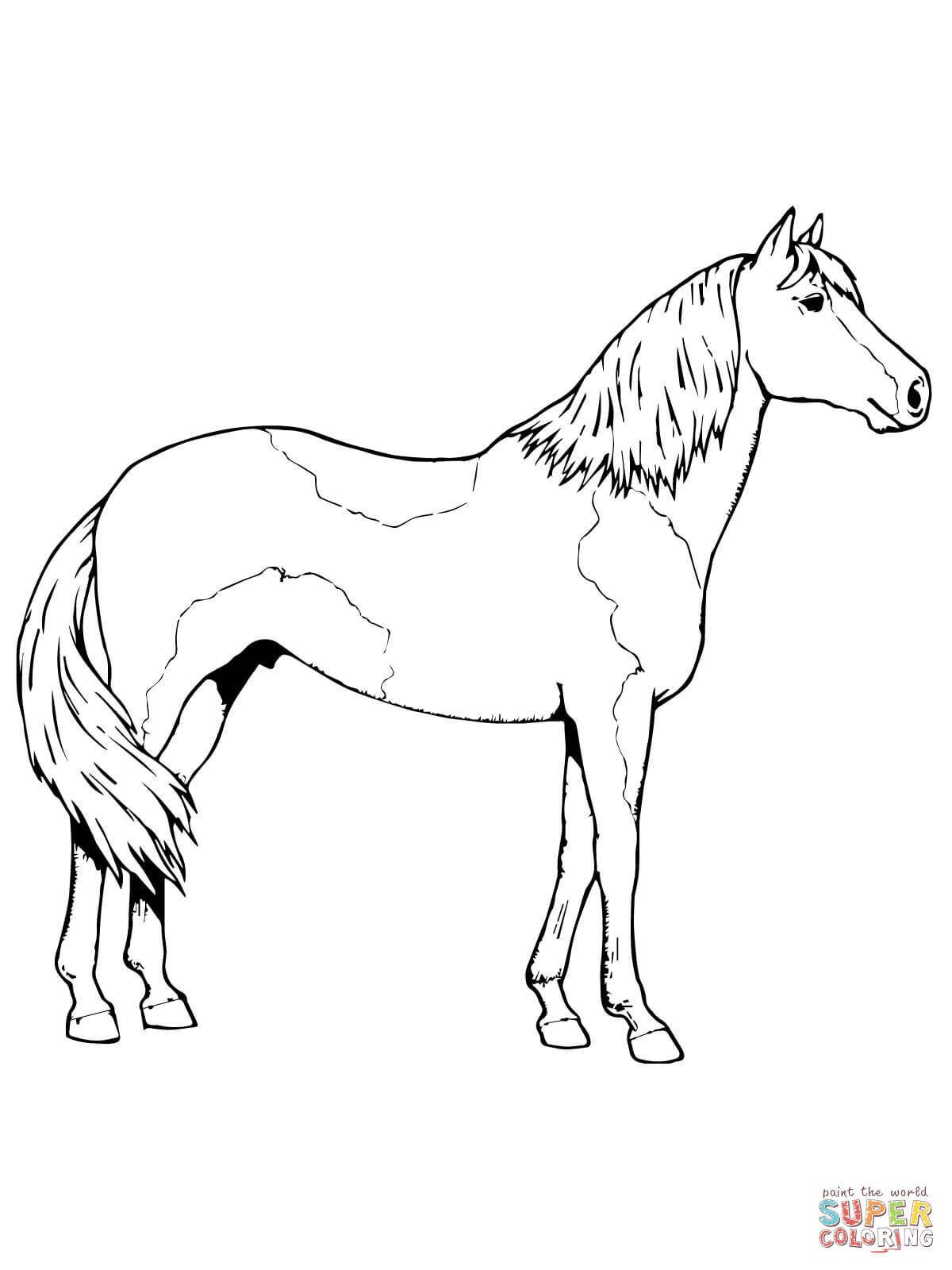Paso Fino Horse coloring page | Free Printable Coloring Pages