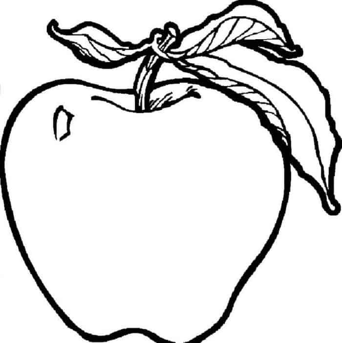 Apple Picking Coloring Pages | Fruit coloring pages, Apple coloring pages,  Apple coloring