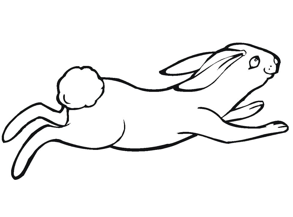 Jumping Jack Rabbit Coloring Page - Free Printable Coloring Pages for Kids