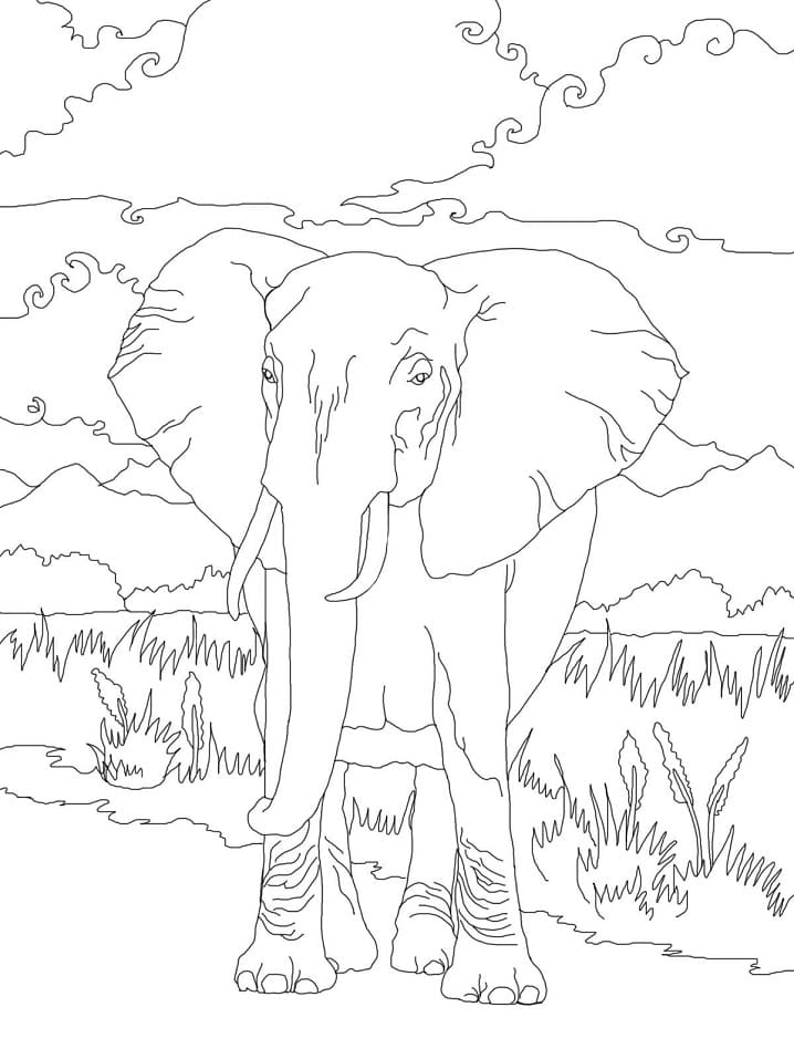 African Bush Elephant 1 Coloring Page - Free Printable Coloring Pages for  Kids