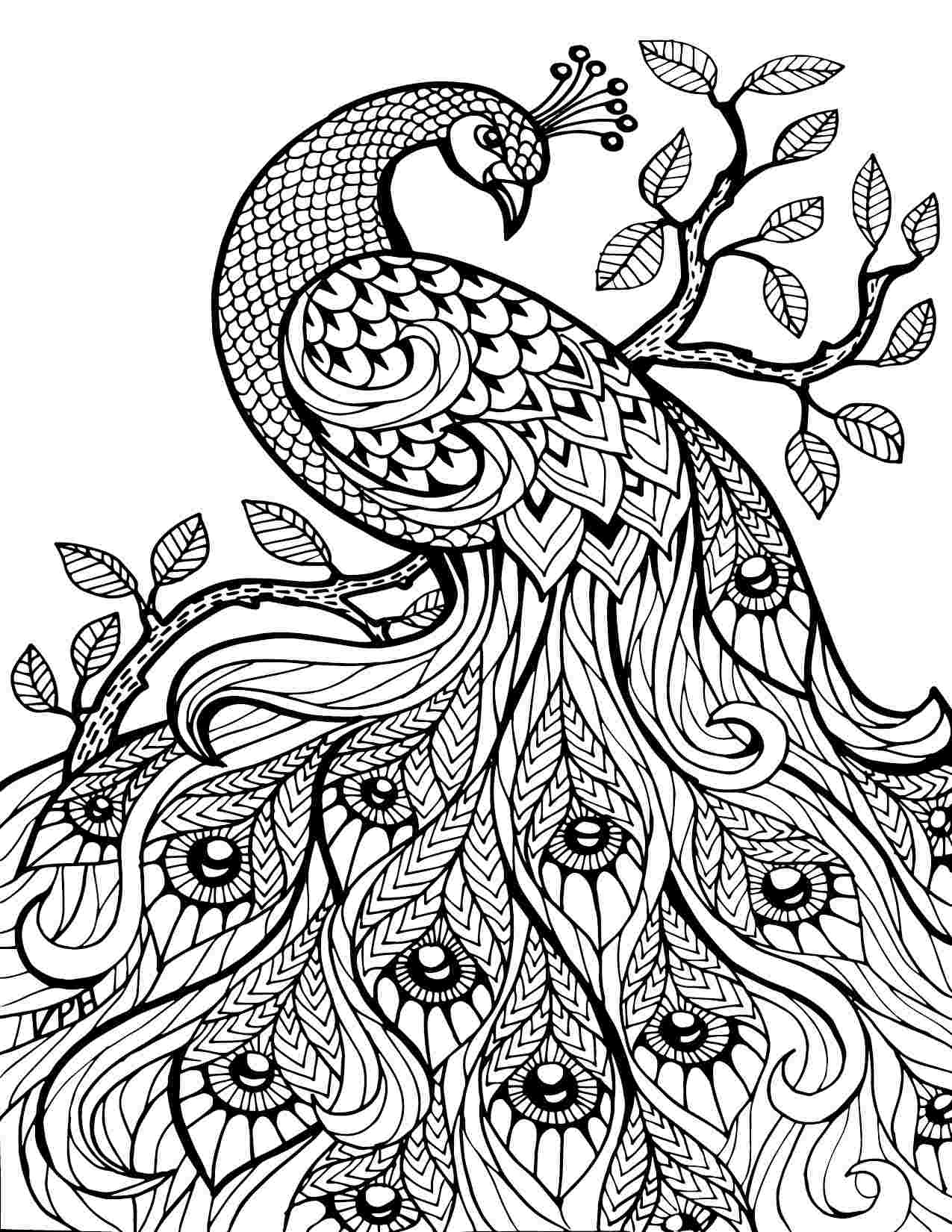 Coloring Pages | Center for Prevention and Outreach