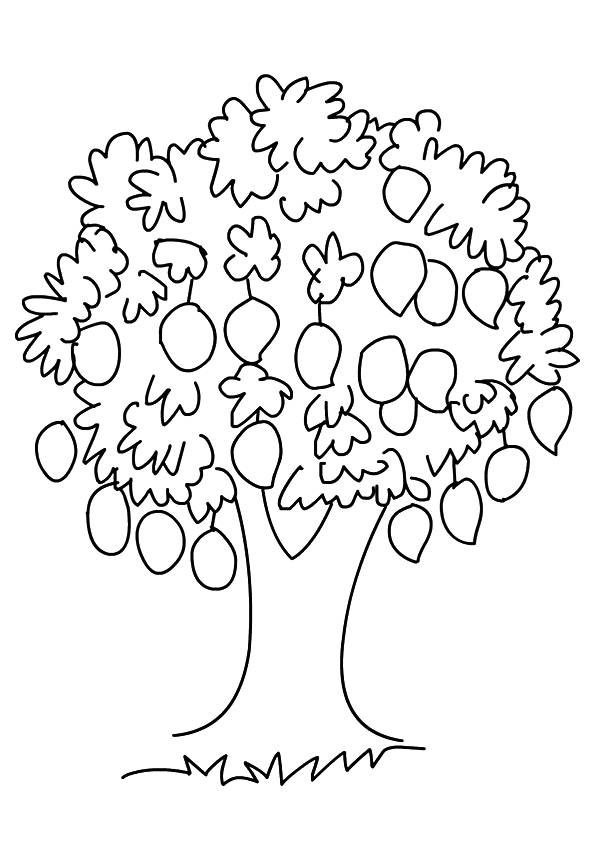 Mango-Tree | Tree coloring page, Fruit coloring pages, Coloring book pages