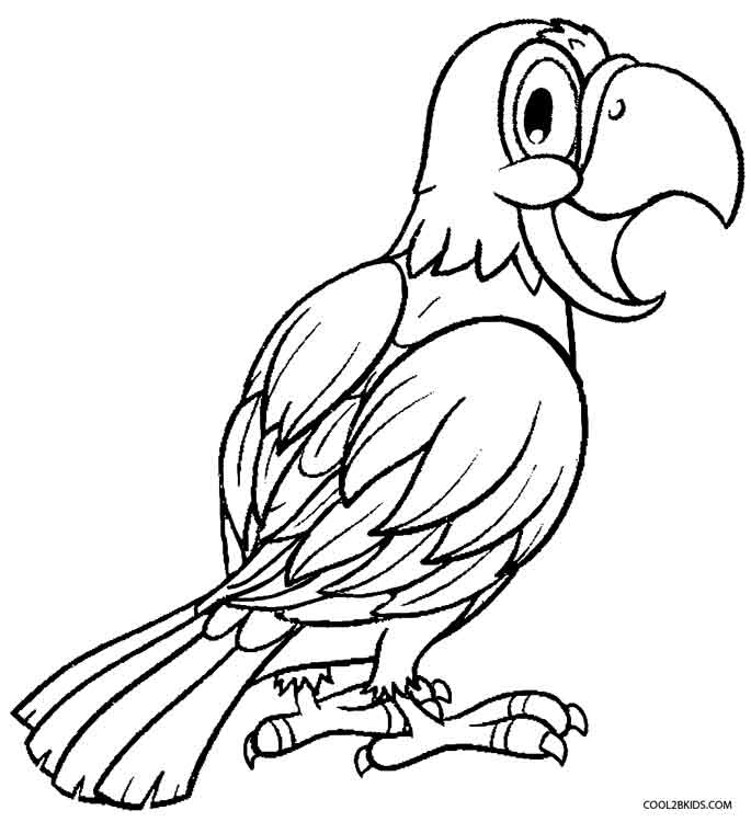 Parrot Coloring Pages | Cool2bKids