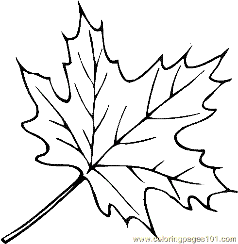 Leaf Coloring Page 02 Coloring Page for Kids - Free Trees Printable Coloring  Pages Online for Kids - ColoringPages101.com | Coloring Pages for Kids