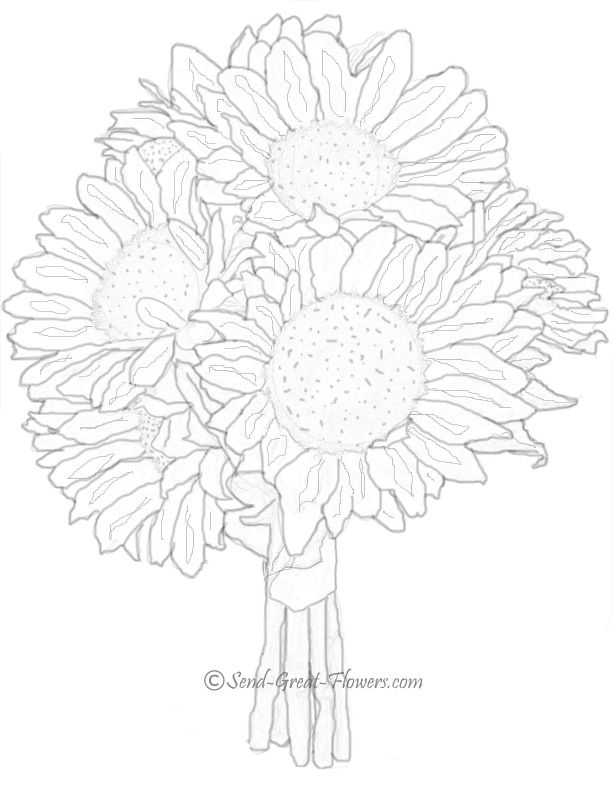 coloring pages sunflower | Maria Lombardic