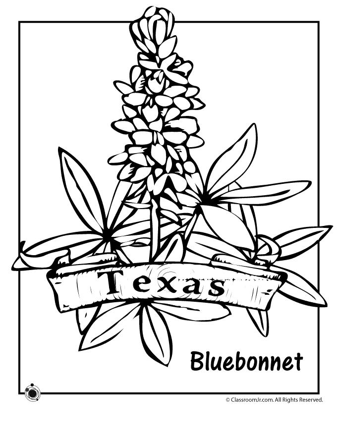 Texas State Flower Coloring Page | Classroom Jr.