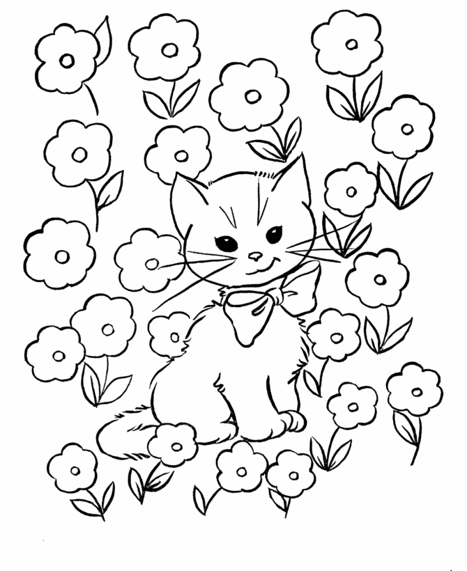 Kitty Cat Pictures To Color