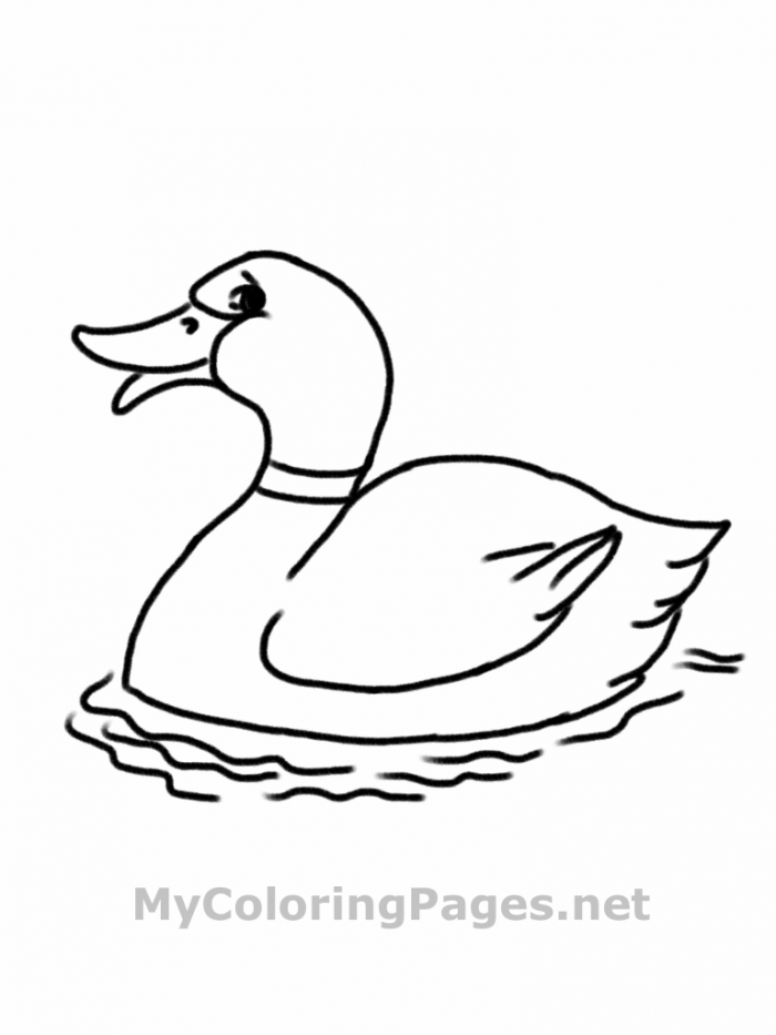 Open Book Coloring Page Kids