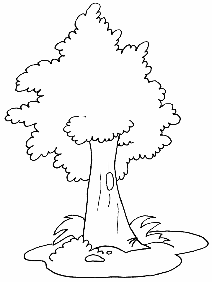 Free-Printable-Tree-Coloring-Pages | COLORING WS