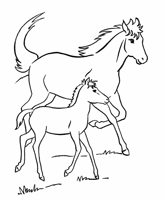 Horse Coloring Pages | Printable Mare and her colt Coloring Page ...